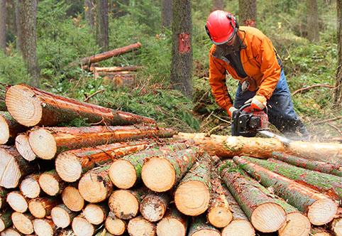 man cutting wood