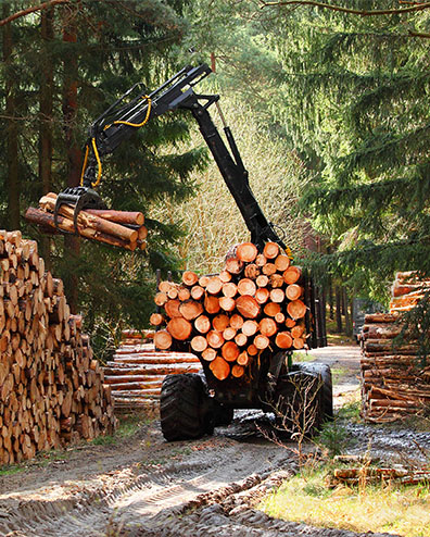 logging truck