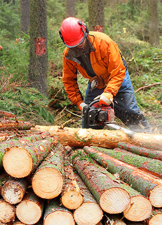 cutting wood