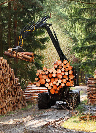 logging truck